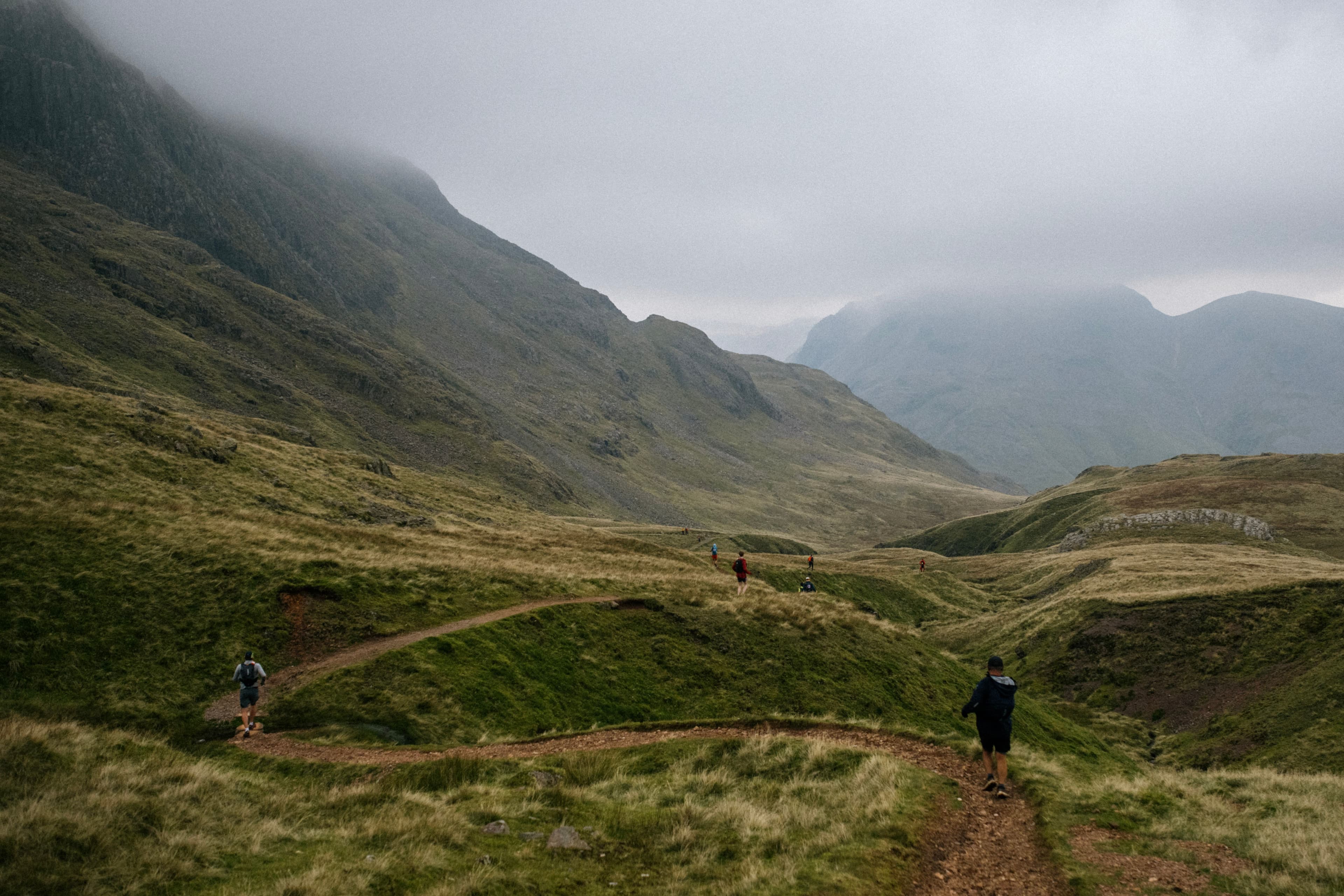 Tablet & Desktop image